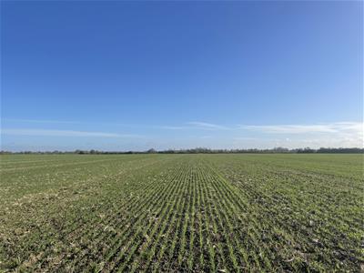 Click to view more details